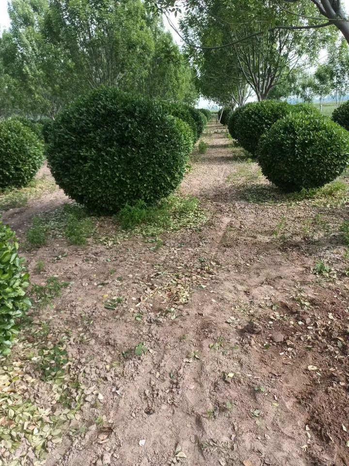 ��ì��
